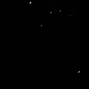 Meet your Posher, Jen